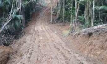 Imagem 2: Chácaras em morretes 35 .00