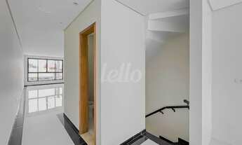 Imagem 6: São Paulo - Casa Padrão - Penha