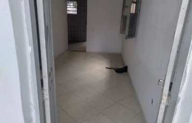 Imagem 4: Casa com 2 quartos, suite, área coberta no bairro Uruguai