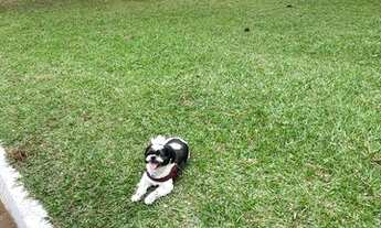 Imagem 2: TERRENO NO RESIDENCIAL 9 - ALPHAVILLE, SÃO PAULO - SP!