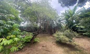 Imagem 5: Casa com cara de chácara em Arniqueiras