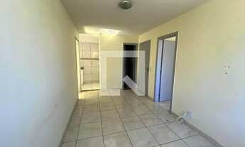 Imagem 5: Apartamento para Aluguel - Jardim Primavera, 3 Quartos, 65 m2