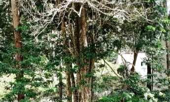 Imagem 3: AREA - MORUMBI - SP