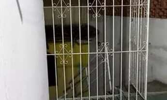 Imagem 2: Kitnete - Cem Braças(Búzios) - Semestral ou Anual