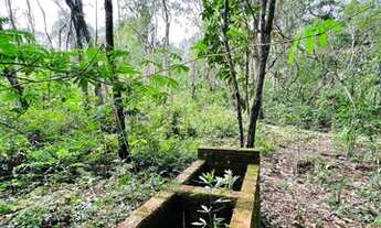 Imagem 7: Chácara em Sapiranga com 3 hectares