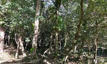 Imagem 4: Sítio Com Entrada De 4.900 E Parcelas De 650. ROB:93