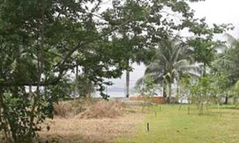 Imagem 5: Terrenos Ilha de Maré a partir R$ 8.000,00