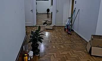 Imagem 2: Bento Gonçalves - Apartamento Padrão - Centro