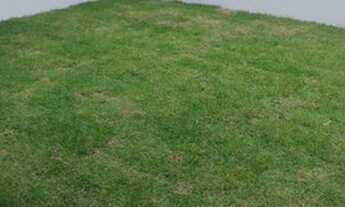 Imagem 7: Casa em Eusébio - CE