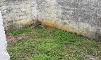 Imagem 6: Vendo 2 casas Vila Aparecida, Ideal Para Renda