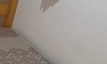 Imagem 5: Aluga se sobrado imobiliado