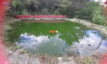 Imagem 4: TAQUARAçU DE MINAS - Sítio - Bairro Bela Vista