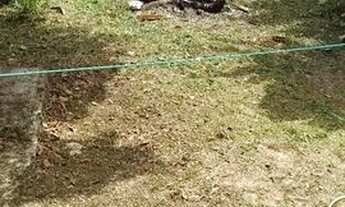 Imagem 5: Casa Murada Casa com 2 dormitórios