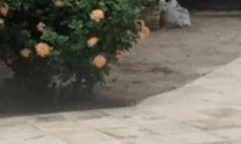 Imagem 6: Apartamento em Saquarema - Oportunidade liga 9 8 7 4 8 3 1 0 8 DIEGO9989F