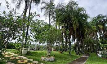 Imagem 2: Vendo Fazenda Bela Vista