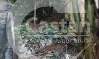 Imagem 6: Terreno Residencial em Tatuapé