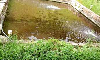 Imagem 6: Sitio em Minas, Nanuque-MG, tanques peixes, 3 casas, nascentes, ótimo pra granjas, parcelo