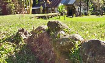 Imagem 7: Sítio completo em picada verão - Sapiranga/RS