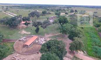 Imagem 6: Fazenda/Sítio/Chácara para venda com 240000000 metros quadrados
