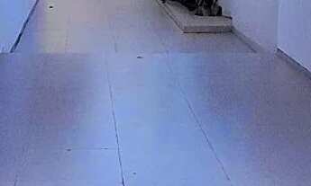 Imagem 3: Excelente oportunidade de investimento: Imóvel a venda