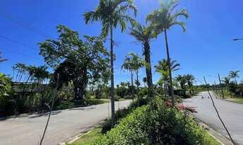 Imagem 4: Terreno com 459m² na Vargem do Bom Jesus, Florianópolis