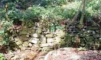 Imagem 3: Área de terra bairro Linha Olinda, Nova Petropólis.RS REF: 246