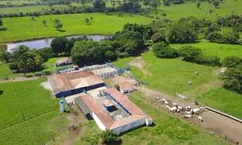 Imagem 4: Fazenda à venda de 86 alqueires em Guapo-GO