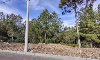 Imagem 5: Terreno - Bairro Dutra