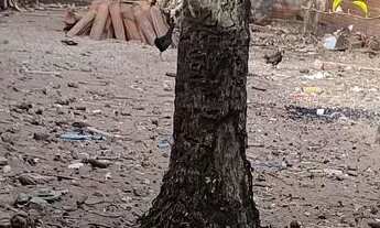 Imagem 3: Casa com terreno na zona norte