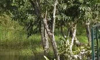 Imagem 5: JARDINS VENEZA / LOTE PLANO/ESQUINA