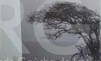 Imagem 4: Casa Condominio para Venda - 55m², 1 dormitório, sendo 1 suites, Cidade Baixa