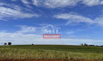 Imagem: Fazenda em Avelinopólis-GO (32 alqueires