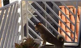 Imagem 5: Casa para Venda em Teresina, Angelim, 6 dormitórios, 2 suítes, 2 banheiros, 3 vagas