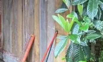 Imagem 5: Terreno 11 x 30 com 2 casas