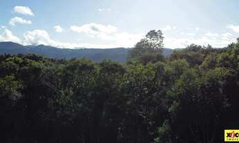 Imagem 4: Sítio / Chácara para Venda em Nova Petrópolis, Linha Olinda