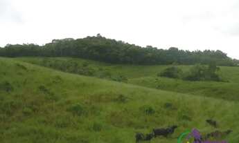 Imagem 2: AREA - PARQUE SANTA ROSA - SP