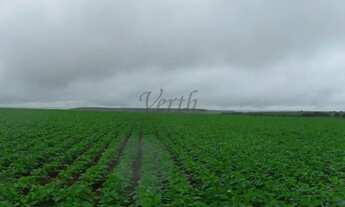 Imagem 3: Fazenda à Venda 472 Hectares Unaí - MG