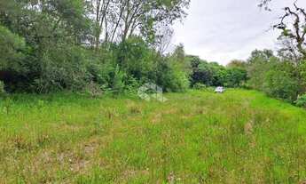 Imagem 4: Terreno total de 20x150m, em Nova Santa Rita