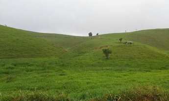 Imagem 3: Venda-se está propriedade de 42 Alqueires no Município de Kennedy-ES