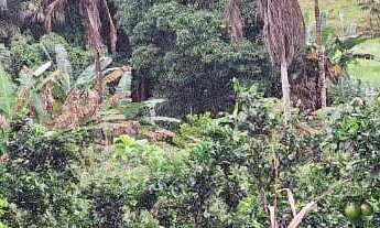 Imagem 5: Sítio com casa Chácara com venda por R$120.000