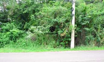 Imagem 3: Terreno à venda no Bairro Travessão em Dois Irmãos RS REF: 738