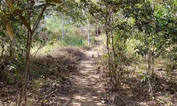 Imagem 7: Chácara de 20mil mt com rancho em Cromínia!