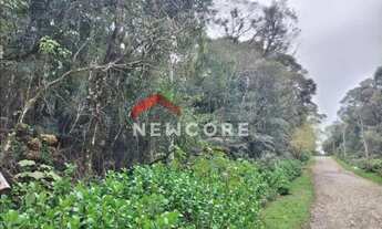 Imagem 2: Lote em Rua 21 Alpes - Alpes - São Francisco de Paula/RS