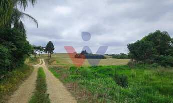 Imagem 7: Fazenda com 70 alqueires, casa, rio e lago a 8 km da BR-476 Aberta a negociação