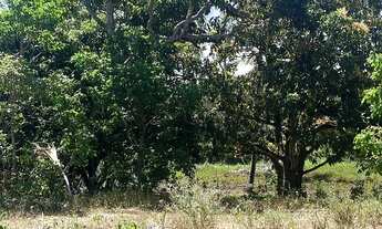 Imagem: Sítio em Piacabucu