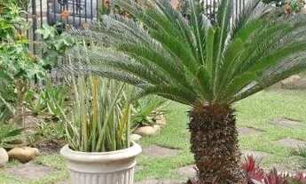 Imagem 6: Casa à venda, 280 m² por R$ 1.990.000,00 - São Francisco - Niterói/RJ