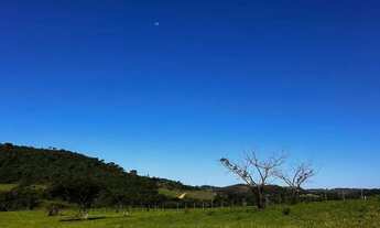 Imagem: Lotes para venda com 1000 metros quadrados