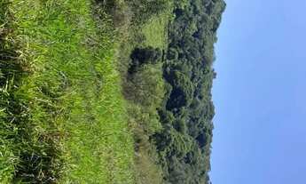 Imagem 4: Tetpara venda com 500 metros quadrados em Vila São Domingos - São Roque - SP