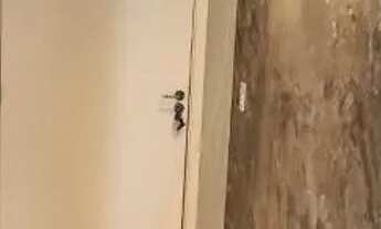 Imagem 3: Apartamento para Venda em Sorocaba, Jardim Simus, 2 dormitórios, 1 suíte, 2 banheiros, 1 v