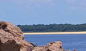 Imagem 4: Sítio avenda medindo 290 x 2000